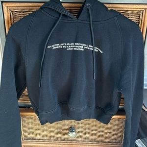 Alphalete crop hoodie